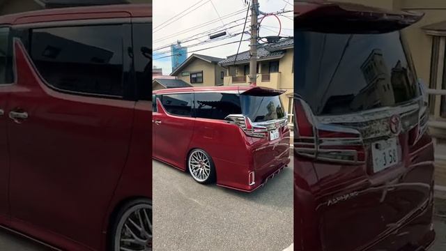 Самый МОДНЫЙ Alphard в Тояме?