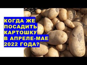 Когда же посадить картошку в апреле-мае 2022 года?