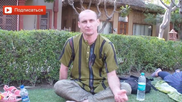 Секрет специй. Как выбирать и использовать приправу Асафетида. Специя для здоровья. Аннада Прабху