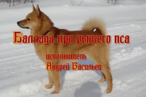 Баллада про рыжего пса.mp4