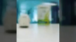 Лампы Cikoo конкурент Osram / Philips.