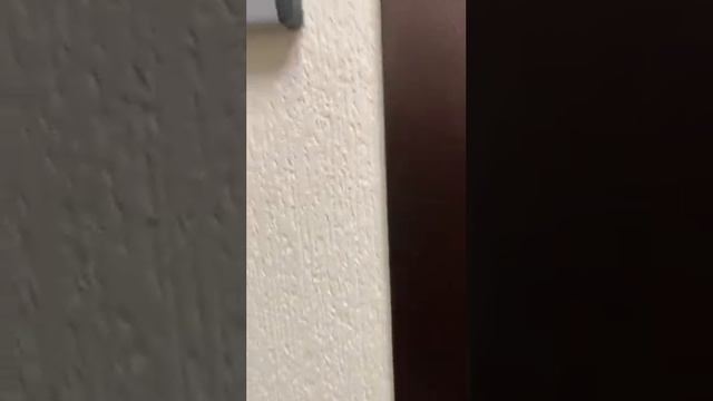 Квартира в Эсто-Садок. смотреть онлайн