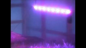 Зимняя теплица из бруса и поликарбоната.