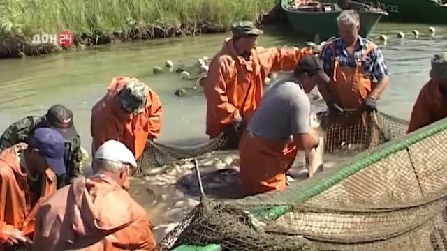 Станица-на-Дону от 29 марта 2018 смотреть онлайн