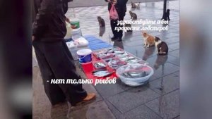 Вы продаете рыбов? нет показываю. Откуда мем?