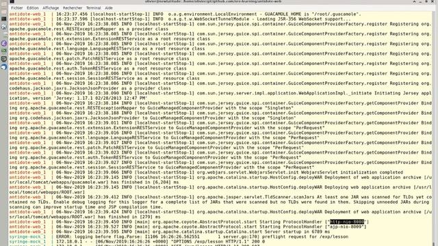 Hacking on Antidote with syringed-mock to add GUI desktop with VNC смотреть онлайн