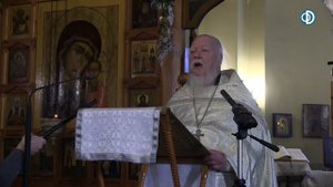 Протоиерей Димитрий Смирнов. Проповедь о пути из царства пошлости к высотам христианства