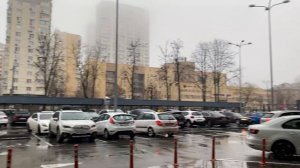 Рождество у друзей в гостях | АРИНА БЕЛАЯ