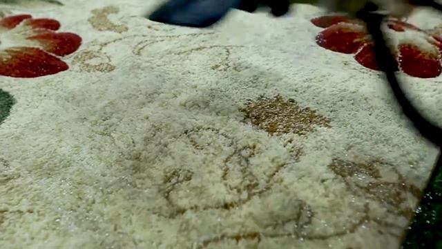 WiEBERR лучшие пятновыводители для ковров смотреть онлайн