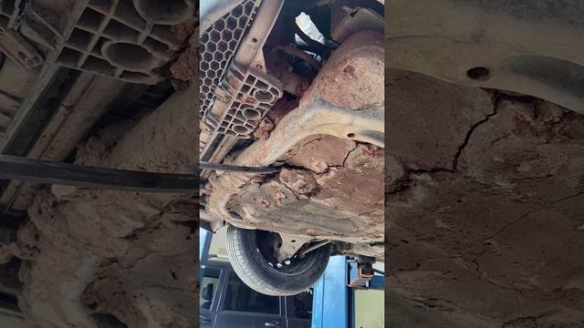 Съездил по навигатору называется. Все в шоке смотреть онлайн