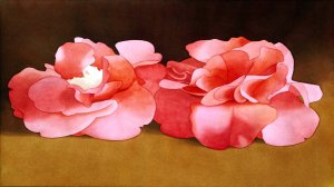 Акварельный  минимализм. художника Марка Адамса