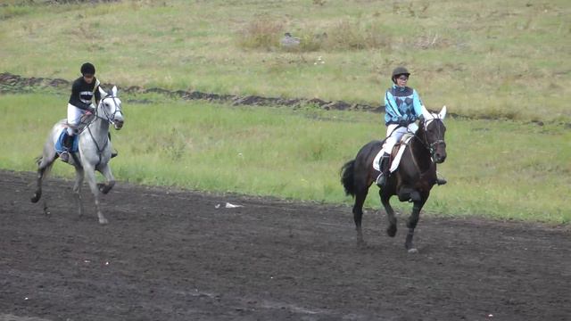 04.09.2021 г. 5-й заезд Приз Спортивный (рысь под седлом) смотреть онлайн