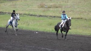 04.09.2021 г. 5-й заезд Приз Спортивный (рысь под седлом)