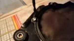 Ремонт дворников Nissan Primera(P11).wmv