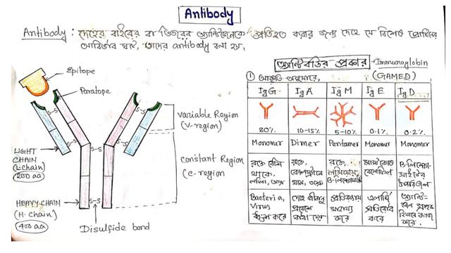 WBCHSE Class XII : Biology : Health & Diseases  - Part I