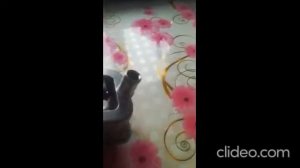 предпусковой подогреватель лунфэй1,5 кВт. неисправности и проверка термореле.