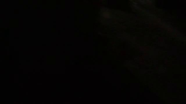 Забытая Россия. Заброшенный детский сад в деревне Вычерема Любытинского района.