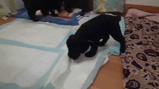 P1050940 смотреть онлайн