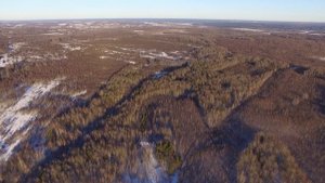 Сеничкин Калужская Область ульяновский район