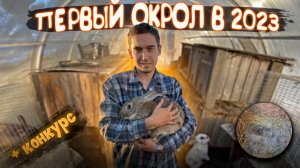 ПЕРВЫЙ ОКРОЛ В 2023 ГОДУ/БИБА РОДИЛА/КОНКУРС ВЕНИКОВ