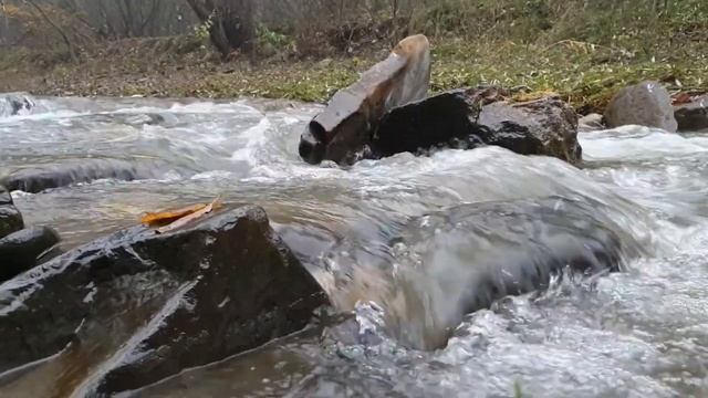 Звук Реки,Релаксация,Успокоение,Приятный Сон #река #белыйшум #шумреки #здоровыйсон смотреть онлайн