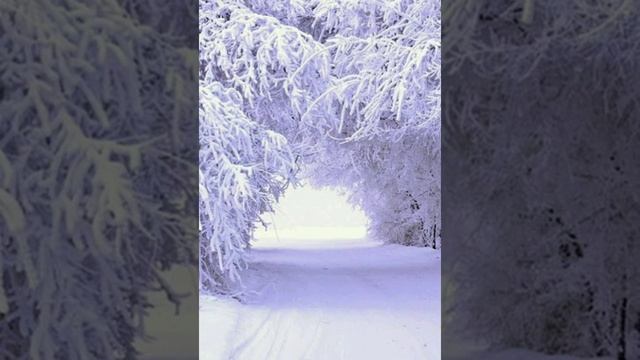 Крещенский Сочельник 18 ЯНВАРЯ.