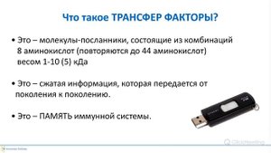 Как трансфер фактор улучшает работу иммунной системы.Трансфер фактор - ключ к иммунитету. Алимова Л.