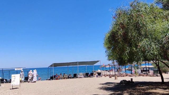 alexius beach hotel 4*Бельдиби, Обзор территории отеля.