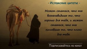 Мудрые исламские цитаты🔥🔥🔥 Жаль что я не слышал этого раньше...
