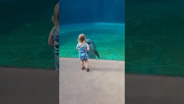 ОКЕАНАРИУМ