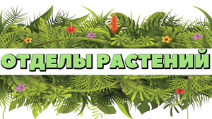 ЕГЭ по БИОЛОГИИ.Ботаника.Систематика растений.mp4