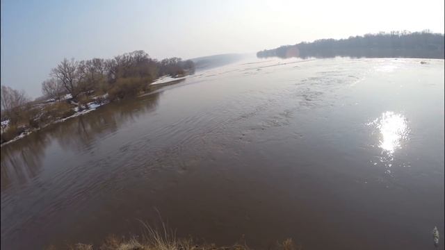 Рыбалка онлайн Впадение Осетра в Оку , устье. Отчеты о рыбалке
