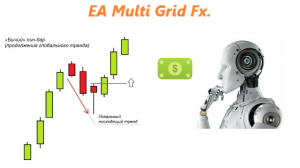 EA Multi Grid Fx.