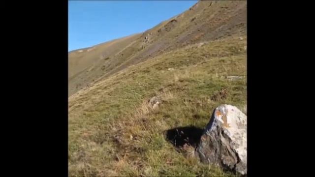 Шаир Аlбдырагьман Улуцlaхий - Зы Йихъий вор Şair Əbdürəhman Ulutsaxiy - Mən Yikiyəm