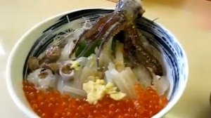 Шокирующее видео - танцующий осьминог