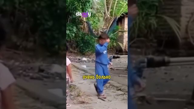 🙀Мальчик НЕ Ударил Девочку смотреть онлайн