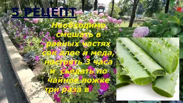 ДОСТУПНЫЕ РЕЦЕПТЫ ДЛЯ ПОХУДЕНИЯ И ОЧИЩЕНИЯ