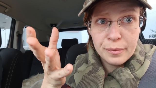 Лето, сборная солянка; 206 коршунов по пути из Перми, безногая ящерица, река Медведица, гроза. смотреть онлайн