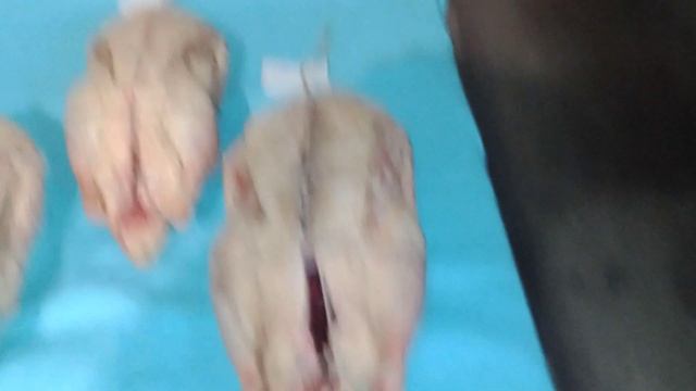 КОПЧЁНАЯ УТКА! Часть первая. смотреть онлайн