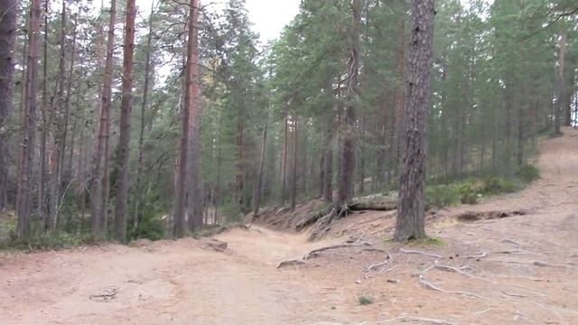 Ирландские терьеры : Осень среди озёр 2016 смотреть онлайн