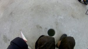 Ловля селёдки на льду тайвань ,зимняя рыбалка в Приморье.