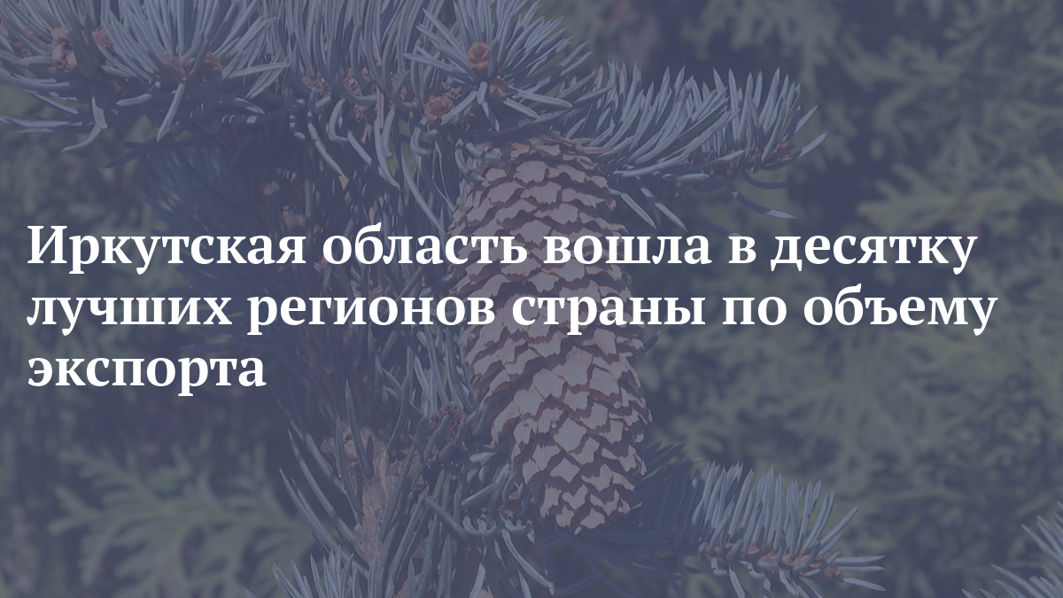 Иркутская область вошла в десятку лучших регионов страны по объему экспорта