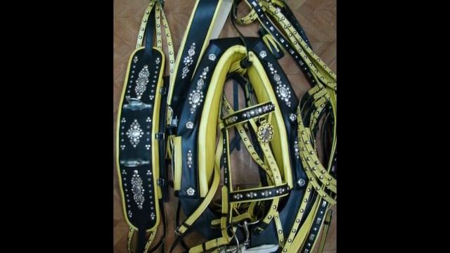 Конская упряжь на Новый год смотреть онлайн