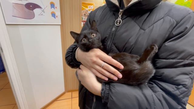 Выпускница точно подарит радость и счастье родителям! | Амелия