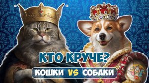 Кто круче? Кошки vs Собаки