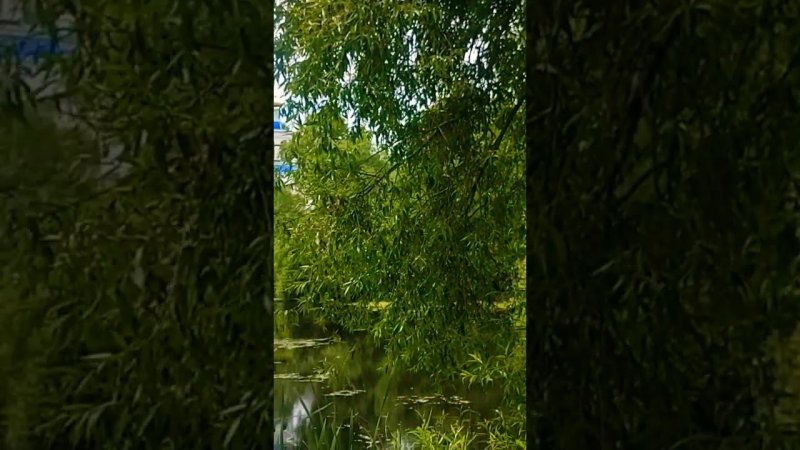Боголюбский женский монастырь