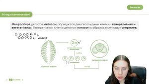 ЖИЗНЕННЫЙ ЦИКЛ ГОЛОСЕМЕННЫХ | БИОЛОГИЯ ЕГЭ | 99 БАЛЛОВ