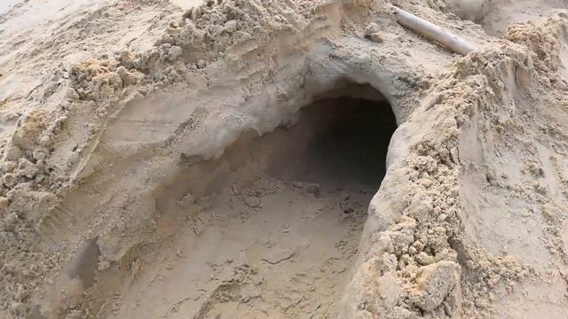 Мила и Ника отправляются на пляж что бы вырыть там туннель и запустить туда машинку, будет интересн