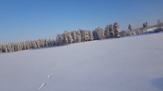 Рыбалки нет, но есть лыжи | Жизнь в Карелии зимой. смотреть онлайн