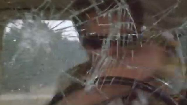 Эйс Вентура: Когда зовет природа моменты (П.Санаев) смотреть онлайн